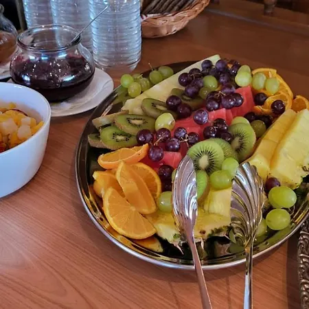 Garni Seeschloesschen كوبلينزي